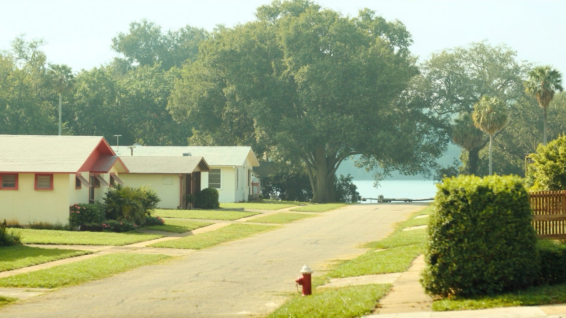 Mid century concrete block ranch homes with carports on a Casselberry, Florida street, shaded by live oaks beside a small lake.