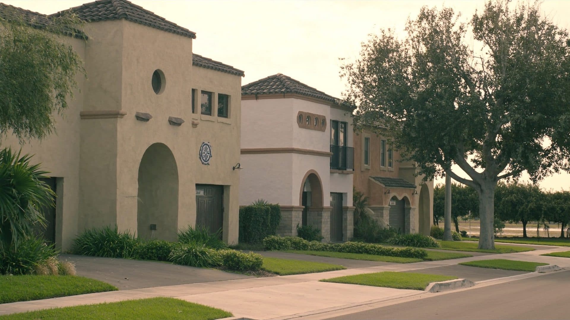Residential street in a 1990s Oviedo, Florida subdivision, with stucco homes and a surviving row of old orange trees from the original citrus grove beyond.