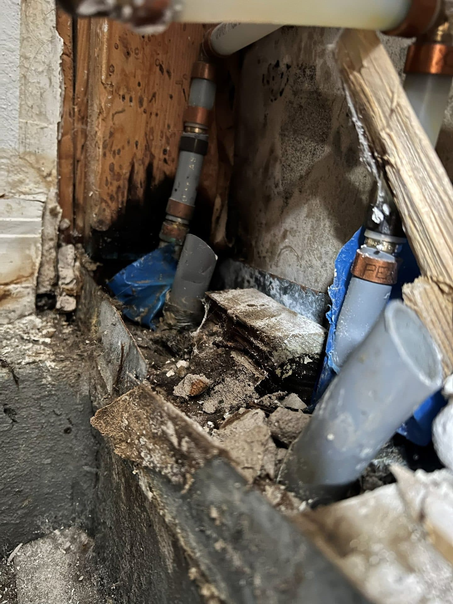 An opened wall cavity at a plumbing run, with heavy black mold growth across the concrete block, the wood framing and the pipe insulation